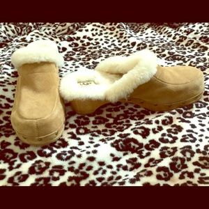 Ugg clogs